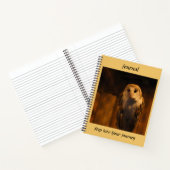 Journal de Barn Owl (Intérieur)