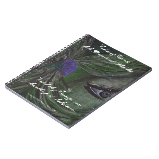 Journal de chardon de Braveheart (Côté gauche)