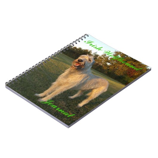 Journal de chien-loup irlandais (Côté gauche)