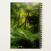 JOURNAL DE GRATITUDE DE LA FORÊT DE FERN TROPICAL  (Verso)