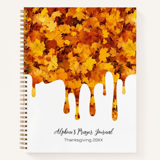 Journal de Gratitude/Prière d'automne (Devant)