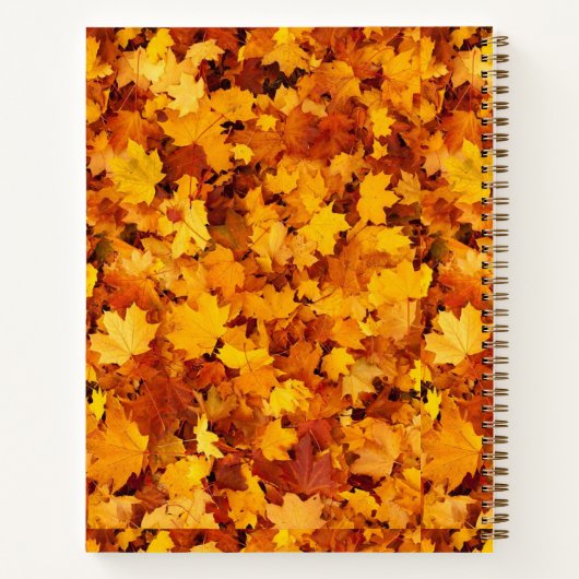 Journal de Gratitude/Prière d'automne (Dos)