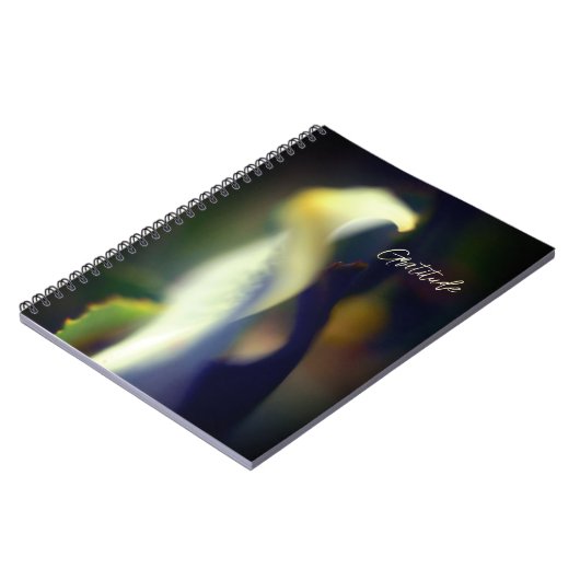 Journal de Gratitude Spirale (Côté gauche)