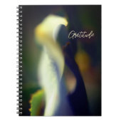 Journal de Gratitude Spirale (Devant)