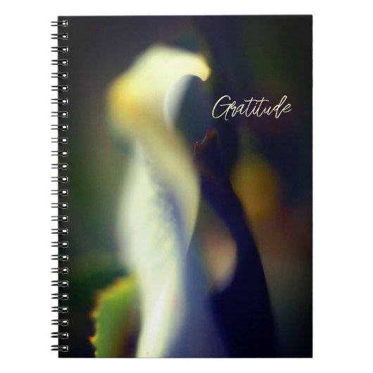 Journal de Gratitude Spirale (Devant)