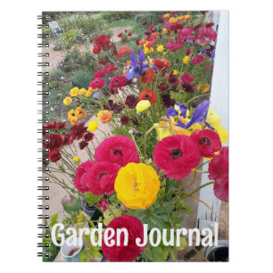 Journal de jardin Ranunculus Fleurs rouges de prin