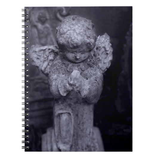 Journal de l'ange brisé (Devant)