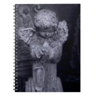 Journal de l'ange brisé