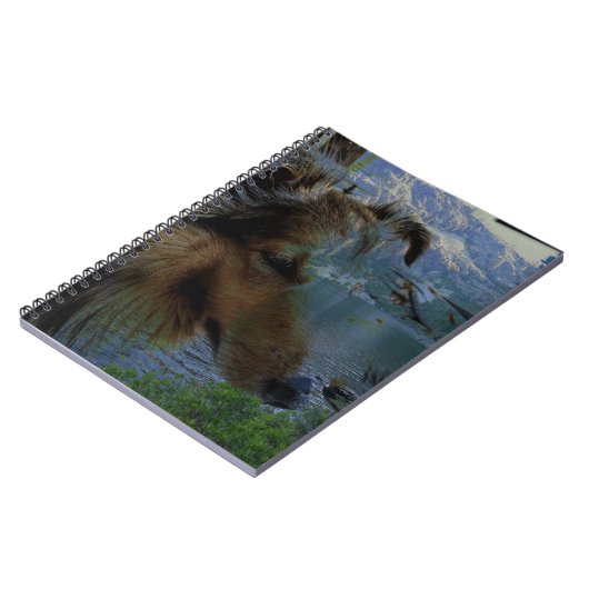 Journal de l'écran (Côté gauche)