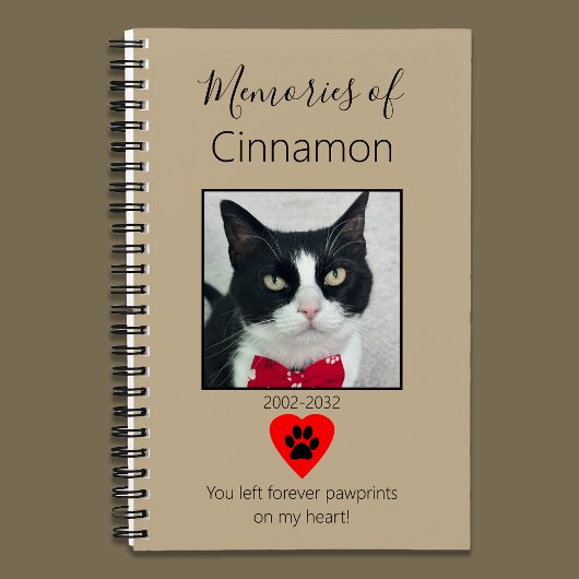 Journal de Mémoire du Chat Kaki