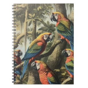 Journal de naturaliste de l'assemblée aviaire & Ca