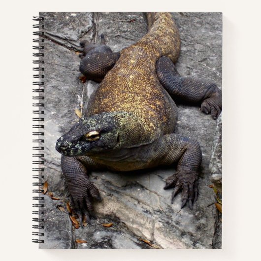 Journal de Nature du Dragon de Komodo (Devant)