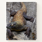 Journal de nature sur le dragon de Komodo (Dos)