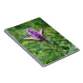 Journal de papillon (Côté Droit)