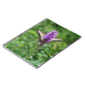 Journal de papillon (Côté gauche)