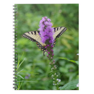Journal de papillon