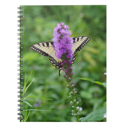 Journal de papillon (Devant)