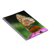 Journal de papillon (Côté Droit)