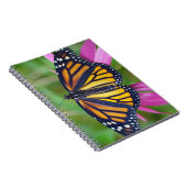 Journal de papillon de monarque (Côté Droit)