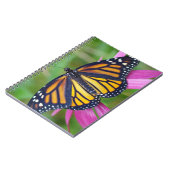 Journal de papillon de monarque (Côté gauche)