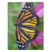 Journal de papillon de monarque (Devant)
