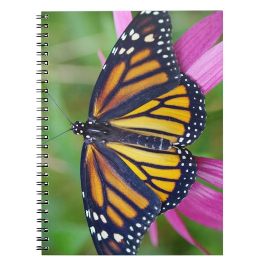 Journal de papillon de monarque (Devant)
