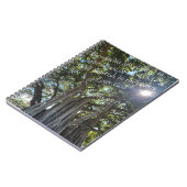 Journal de plantation (Côté gauche)