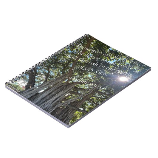 Journal de plantation (Côté gauche)