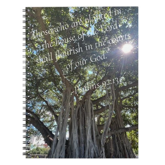 Journal de plantation (Devant)