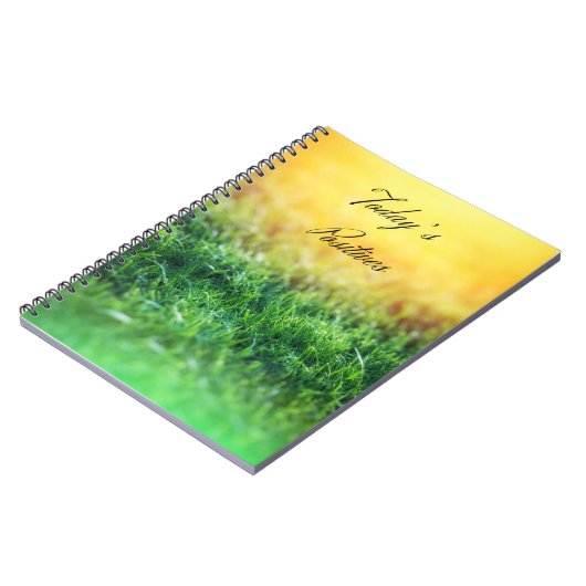 Journal de position (Côté gauche)