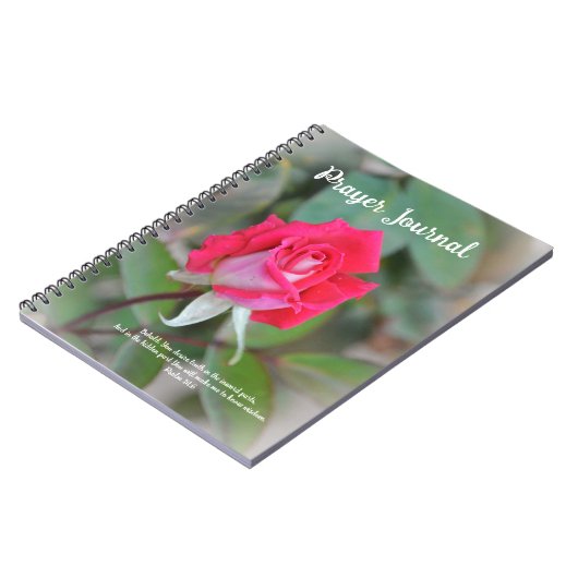 Journal de prière avec Rose et Écritures (Côté gauche)