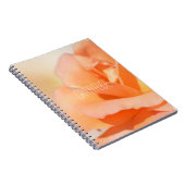 Journal de reconnaissance (Côté Droit)