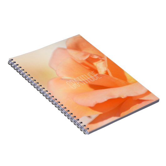 Journal de reconnaissance (Côté Droit)