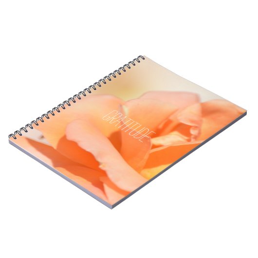 Journal de reconnaissance (Côté gauche)