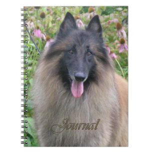 Journal de Tervuren de Belge
