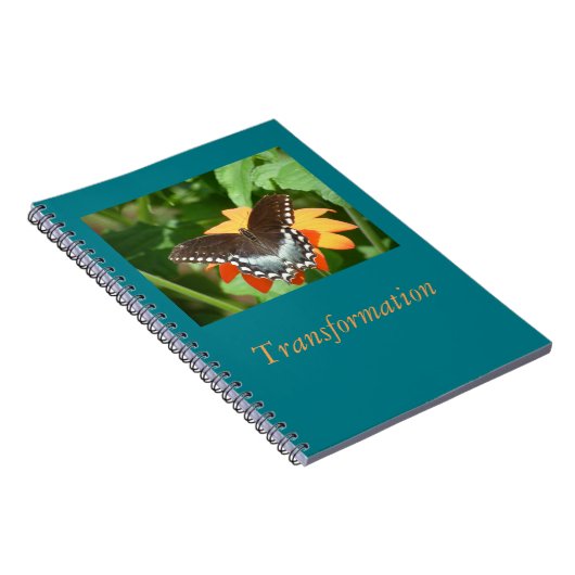 Journal de transformation (Côté Droit)