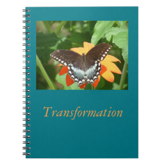 Journal de transformation