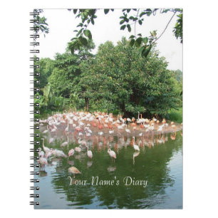 journal de troupe de flamants roses