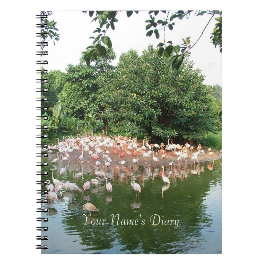 journal de troupe de flamants roses (Devant)