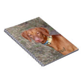 Journal de Vizsla (Côté Droit)