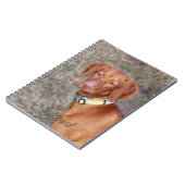 Journal de Vizsla (Côté gauche)