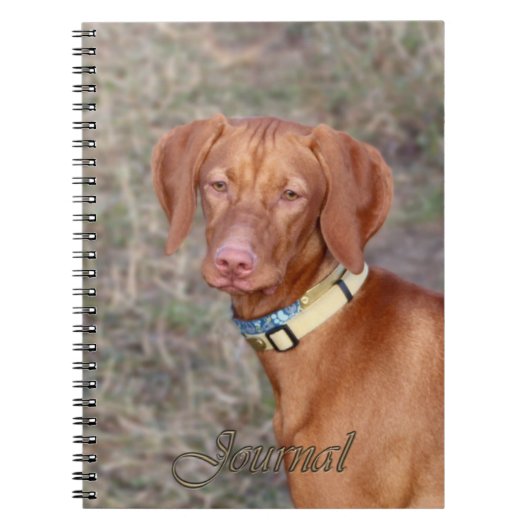 Journal de Vizsla (Devant)