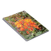 JOURNAL DE VOYAGE N° 1 DU DÉSERT DE CALIFORNIE (Côté Droit)