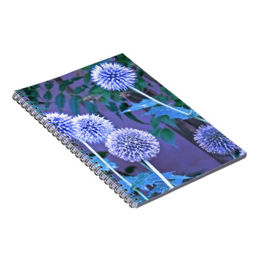 journal d'écriture (Côté Droit)