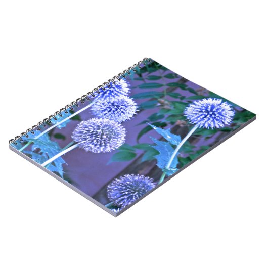 journal d'écriture (Côté gauche)