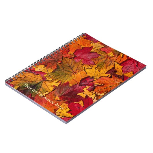 Journal des feuilles d'automne (Côté gauche)