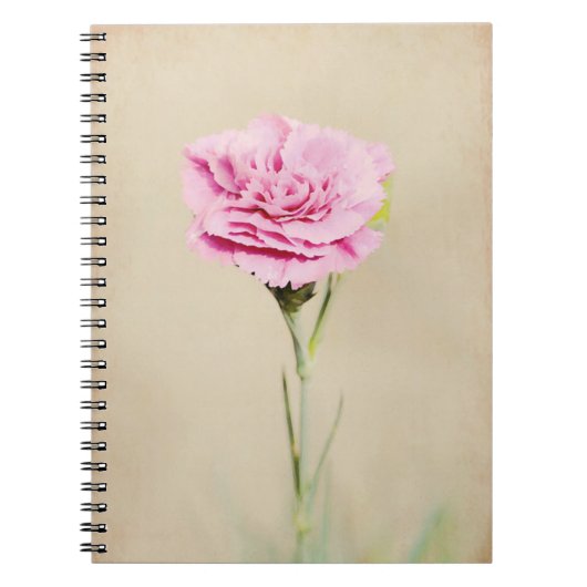Journal des fleurs de carnation rose (Devant)