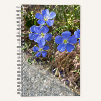 Journal des fleurs de violet bleu