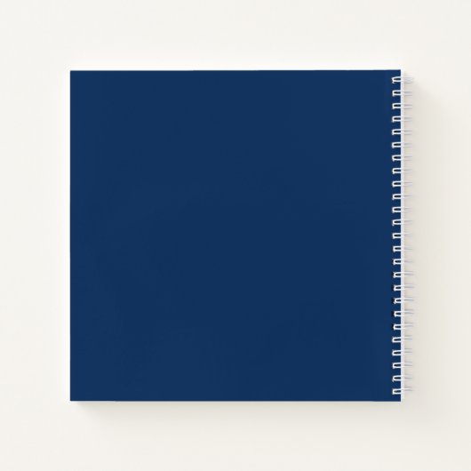 JOURNAL DES HISTOIRES D'ÉTÉ (Dos)