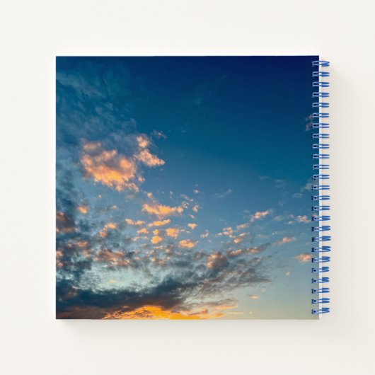 Journal des idées, des objectifs, des espoirs et d (Dos)